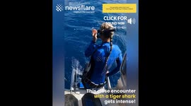 Tiger Shark almost Bites off Diver's Fins