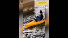 Drowning Cat gets Miracle Rescue