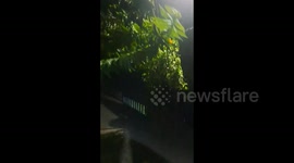 Strong Wind And Heavy Rain Brought by Typhoon Doksuri to Vigan City, Philippines