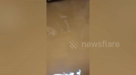 Muddy flood swamps woman's house following downpour in Bangkok