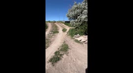 Enthusiastic kid's first-ever bike jump ends with his first-ever crash