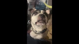 Maggie’s beautiful pit