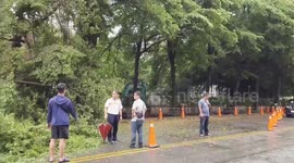Taiwan: Typhoon Doksuri Batters Southern Region Causing Damage And Power Outages