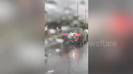 Python seen on the back of moving car during rain in Thailand