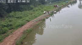 Cheeky horse nudges owner into fishing pond in China