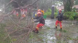 Typhoon Doksuri makes landfall in east China