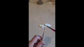 Sculptor's MAGNIFICENT Butterfly tea strainer set will have you fluttering in awe