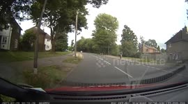 Scooter rider falls and throws a tantrum