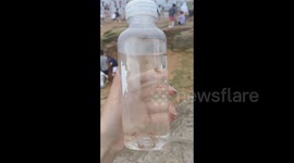 Catch the jellyfish from SpongeBob SquarePants in Weihai, Shandong, China