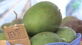 Rwandan agriculture expo showcases new farming technologies