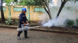 Myanmar triumphs in battle against dengue with sharp decline to 6,685 cases and 30 deaths