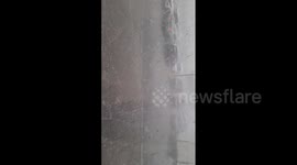 Canada: Powerful Storm Hits Ottawa, Knocking Down Trees And Causing Power Outages 5