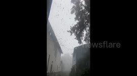 Canada: Powerful Storm Hits Ottawa, Knocking Down Trees And Causing Power Outages 6
