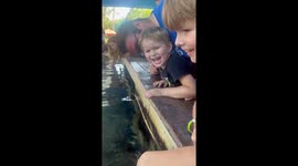 Toddler knocks off Dads glass in a Rays tank