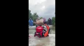 Firefighters rescue animals from flooded zoo in eastern China