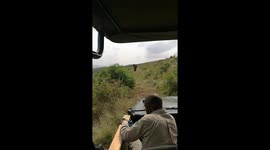 Elephant approaching game drive vehicle in Thula Thula  Game reserve in South Africa