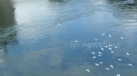 Impoverished village in SW China witnesses dramatic changes