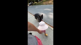 Sidewalk Snacktime