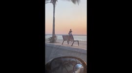 Beachside Jog With Mom
