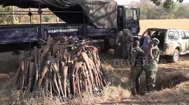 Malawi police destroy more than 1,000 illegal firearms to boost safety