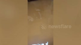 Family wade through flooded home in Bangkok, Thailand