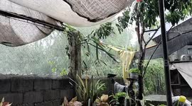 Super typhoon Doksuri batters cat shelter in the Philippines