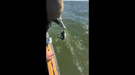 Two men rescue bird entangled in fishing net off Canada's north coast