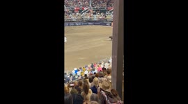 Matador Injured by Bull at Rodeo