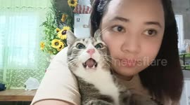Adorable Staring Contest Between Cat and Owner