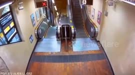 Wild boar attacks woman and boy, 15, in subway station in Hong Kong