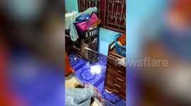 Huge python snake caught in family's home in Thailand