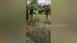 Pet dog has hilarious way of walking on its hind legs