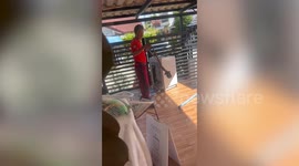 Ssss-spin wash! Wild python snake caught curled in family's washing machine