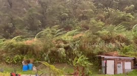 Japan: Winds Pick Up In Okinawa As Typhoon Khanun Approaches 4