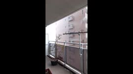 Tokyo's sideways rain: nature's dance of wind and water