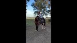Dog Poses on Horseback