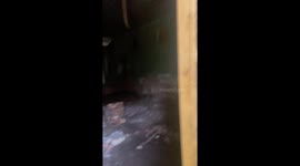 Take a tour round a bat-infested building with this critter catcher