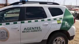 Large Turtle Undergoes Training Sessions To Face Real-Life Sea Conditions In Almunecar, Granada, Spain
