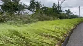 Japan: Powerful Typhoon Khanun Brings Torrential Rain, Dangerous Winds To Okinawa Islands And Southern Kyushu 2