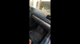 Surprise in the car, cat in the car