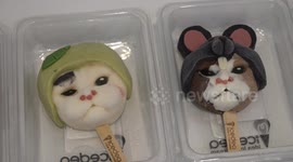 Ice cream shop sells adorable ice lollies shaped like cats and dogs