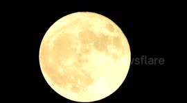 Supermoon 2023: Moon Lovers Treated To Sturgeon Moon