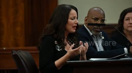 Fran Drescher Addresses New York City Council in New York, USA