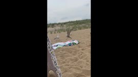 'Now!' - Chill friends enjoying at the beach try to catch a seagull with clever trap