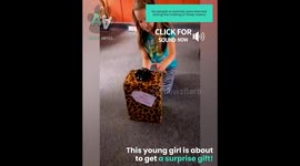 Little Girl Surprised With Kitten!