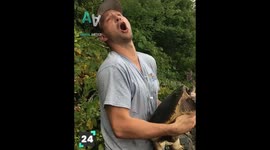 Top 26 Animal Videos of the Month