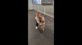 Fluffy dog happily reunites with her owner after two months *Wholesome Reunion*