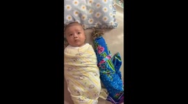 Swaddle buddies: heartwarming video shows cat and baby bonding in Ciamis, Indonesia
