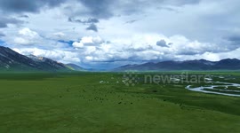 Maoyaba Grassland Summer Scenery in Sichuan, China