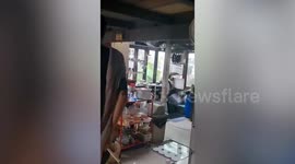 Huge wild monitor lizard ushered out of family's kitchen in Thailand